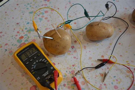 science fair potato battery